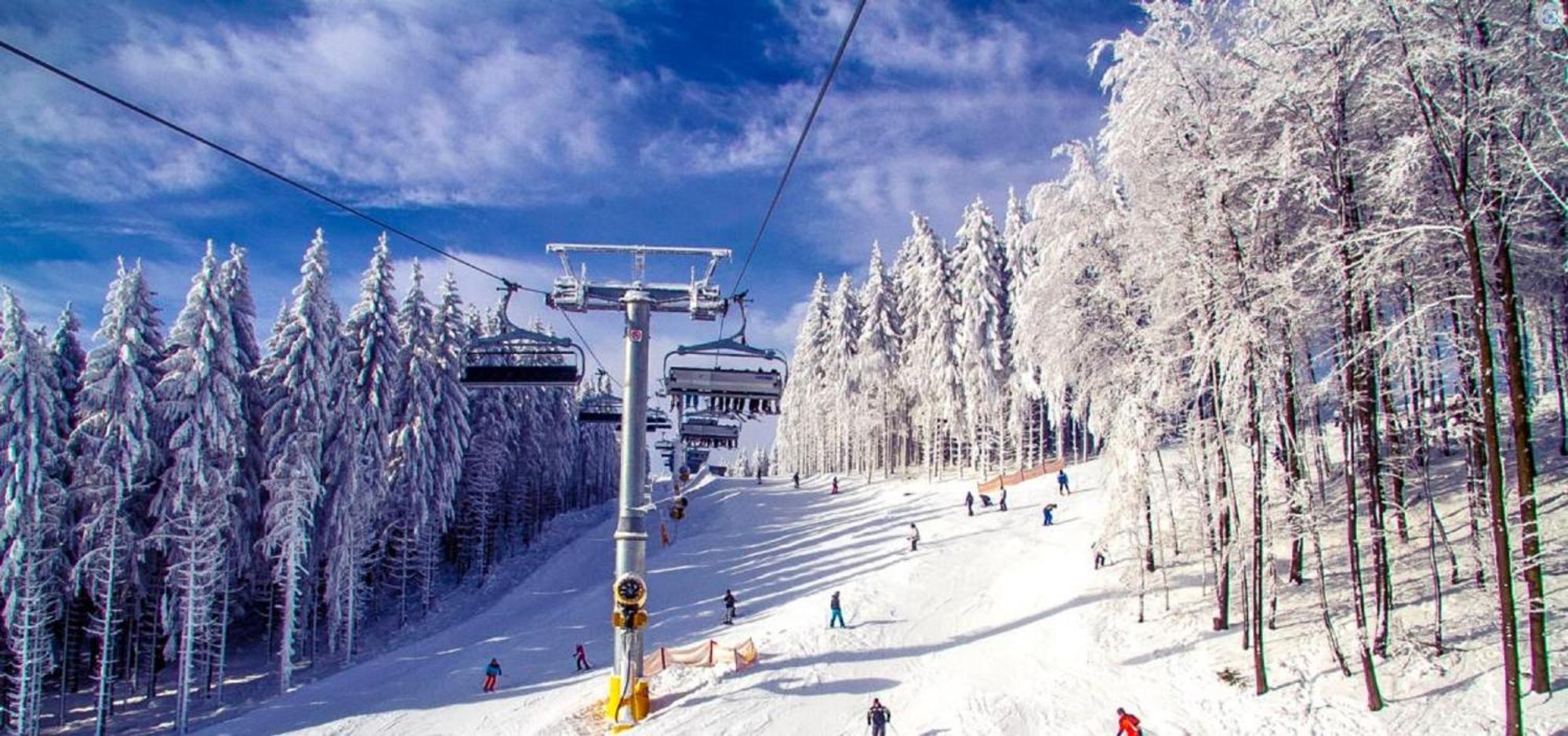 Alpen Appartement Winterberg Extérieur photo
